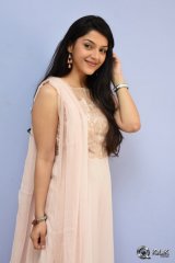 Mehreen at Krishna Gadi Veera Prema Gaadha Movie Thanks Meet